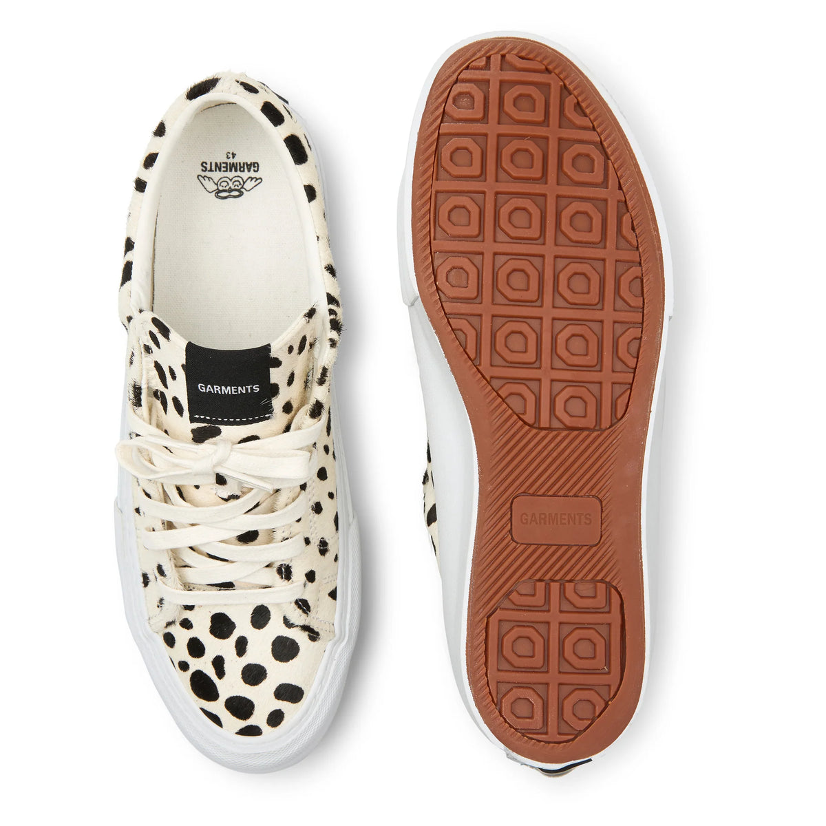 CALI 001 - Dalmatian Ponyhair